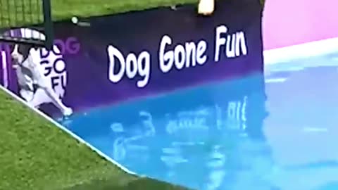 Some Big Fails