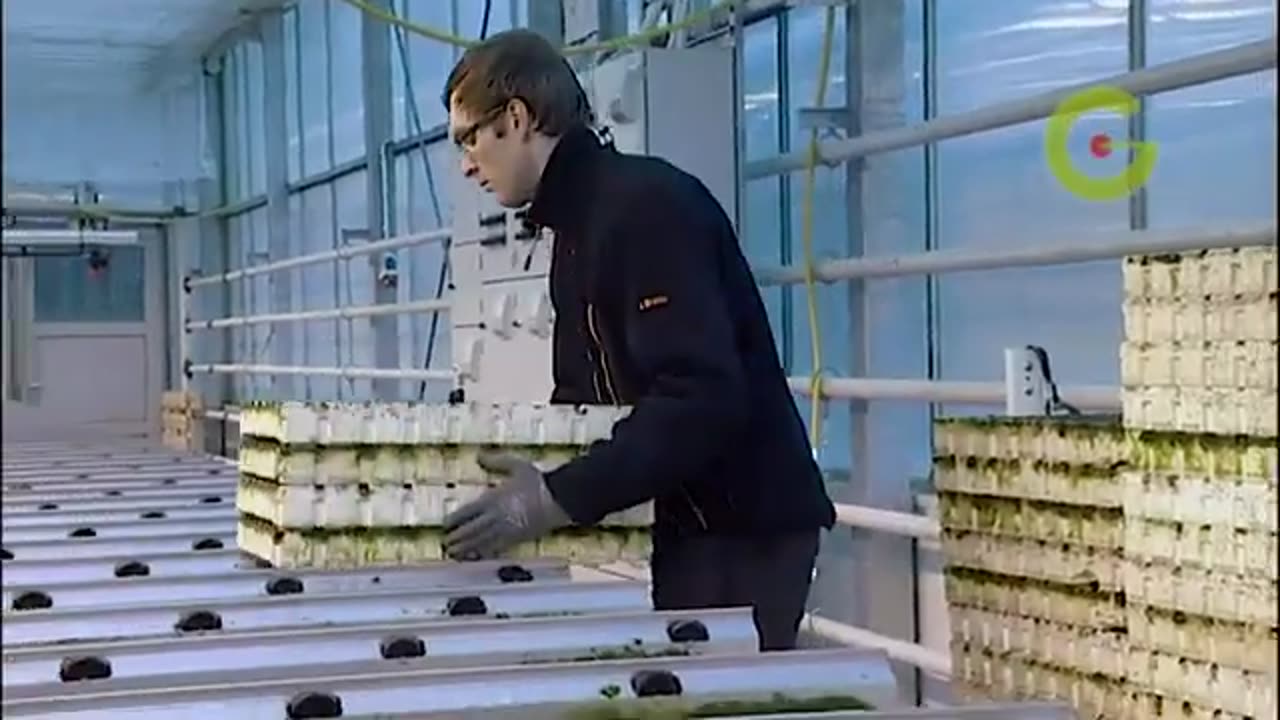 The automated hydroponic system from Green Automation