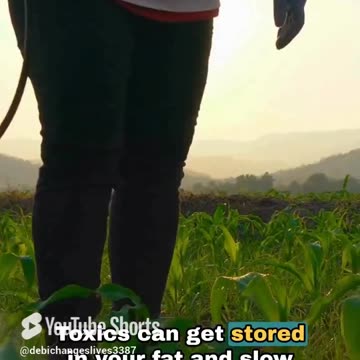 🌱𝗪𝗵𝘆 𝗶𝘀 𝗮 𝗰𝗹𝗲𝗮𝗻, 𝘁𝗼𝘅𝗶𝗰-𝗳𝗿𝗲𝗲 𝗱𝗶𝗲𝘁 𝗰𝗿𝘂𝗰𝗶𝗮𝗹?🤔 𝙖𝙛𝙛𝙚𝙘𝙩𝙨 𝙮𝙤𝙪𝙧 𝙗𝙤𝙙𝙮