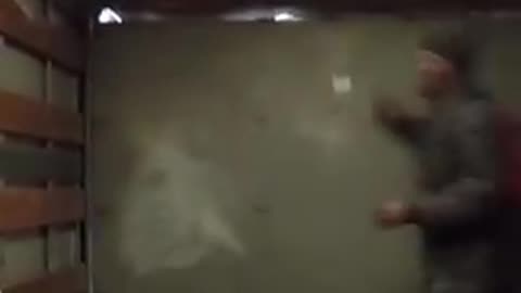 Negro Man Flips Out After Getting Trapped in Bait Truck