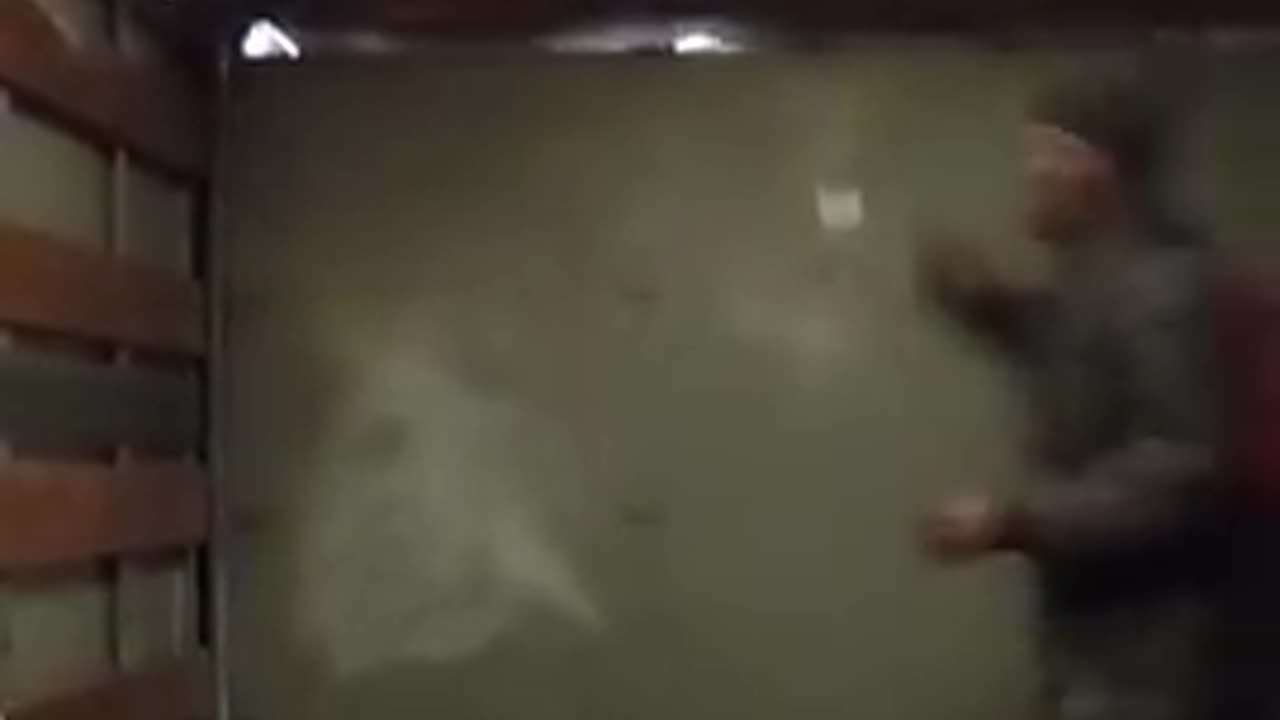 Negro Man Flips Out After Getting Trapped in Bait Truck