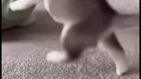 Cute Baby Playing with Animals | Adorable Baby and Pet Moments 2025