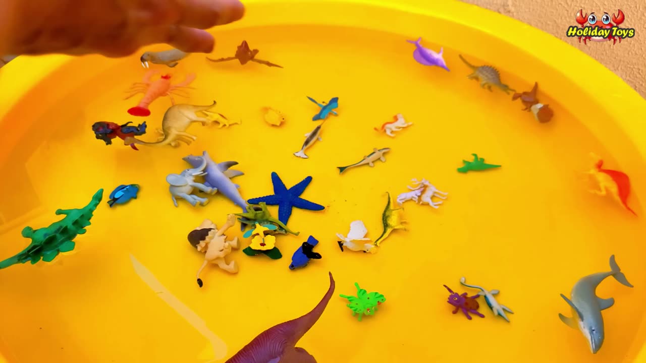 Beetles Dig the Ground to Make House to Keep Warm When Rain