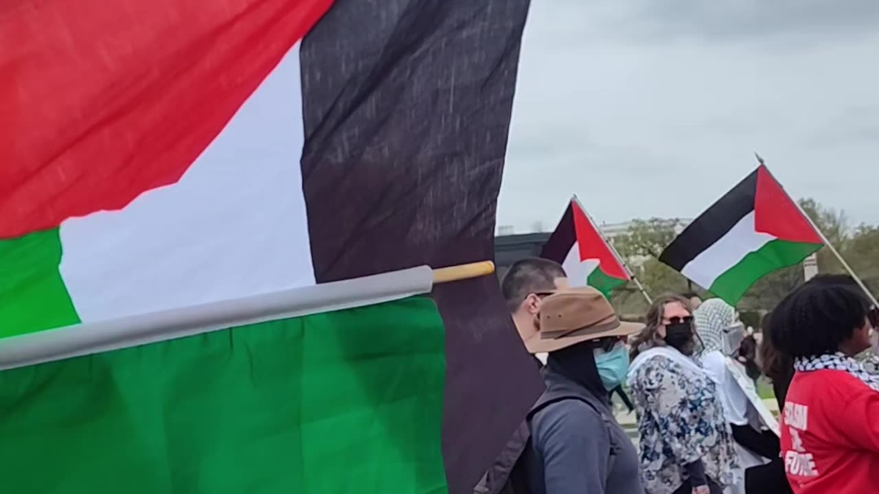 THOUSANDS marching for Palestine in Washington DC.