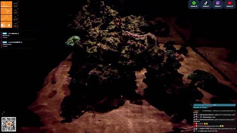 24/7 Real Live Reef Stream