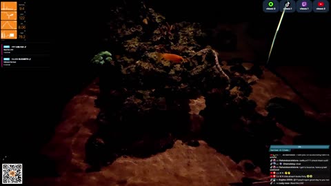 24/7 Real Live Reef Stream
