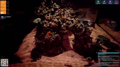 24/7 Real Live Reef Stream