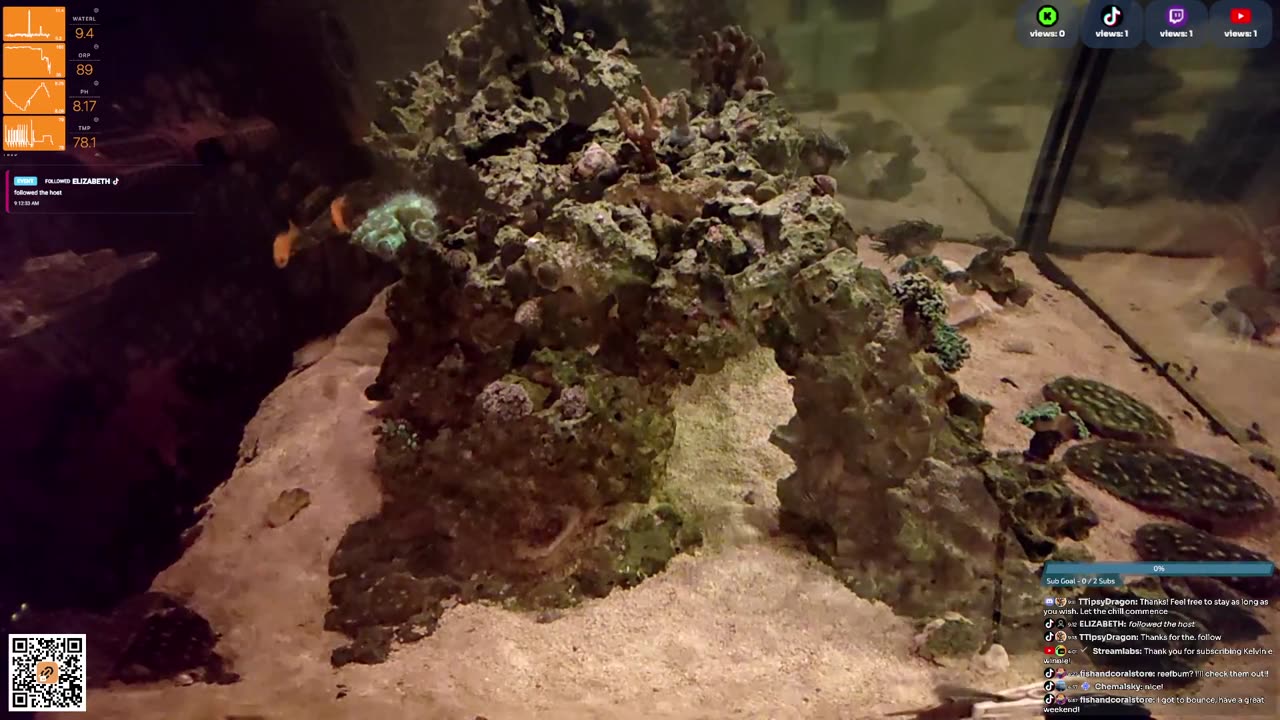 24/7 Real Live Reef Stream