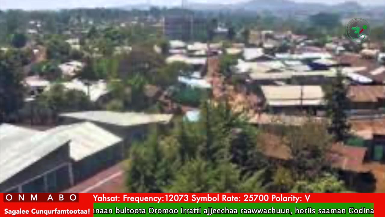 Oduu Waaree ONM-ABO Caamsaa 17-2025 itti dhiyaadhaa!