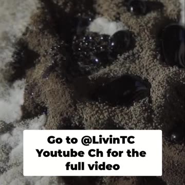 Avoid Costly Mistakes_ Red Flags for Waterfront Home Buyers