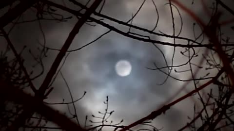 The Ride That Waits 🎡😨