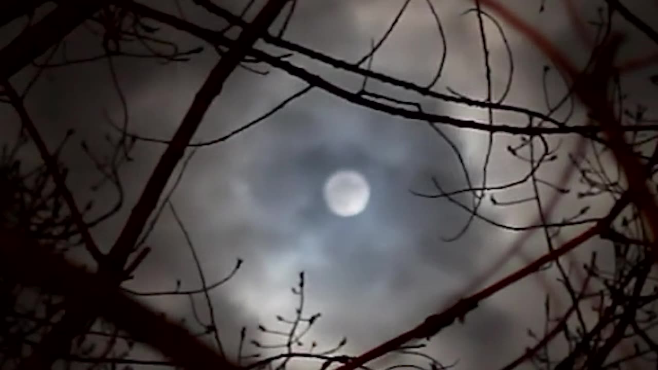 The Ride That Waits 🎡😨