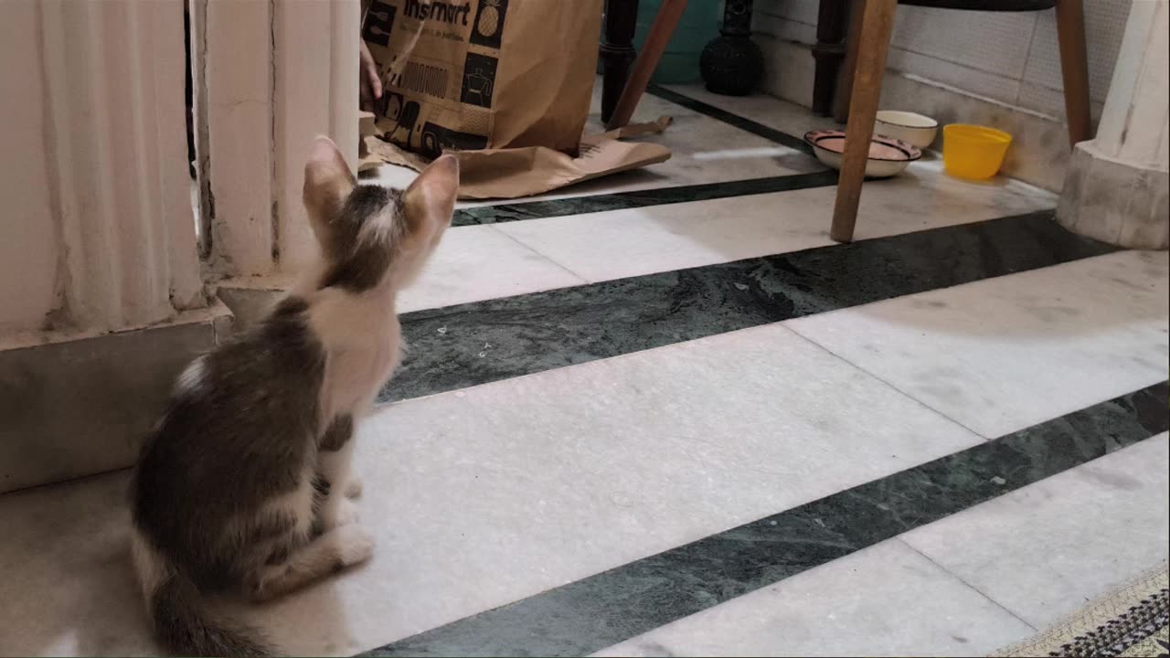 2nd Aug Wrench letting Alt come close to her