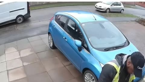 Cute Cat Chaos | LOL Guaranteed 🐱🤣