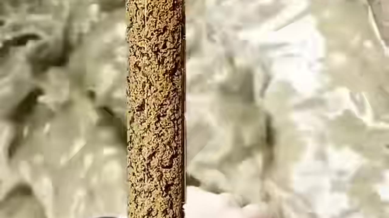 🤯🔧 Experience Tools in Action Like Never Before! | FeedMyCuriosity