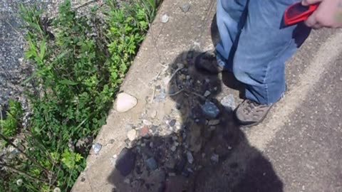 The abandoned Cinemart movie theater. Video from 2012.