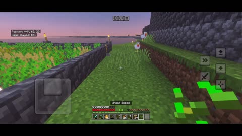 Moving the chickens