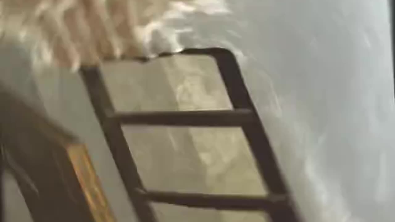 THE STANDING CELL EXECUTION METHOD