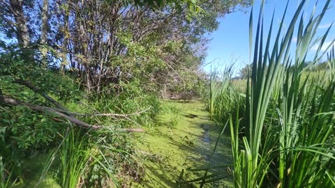 August 6-13th - Finishing up ADC jobs