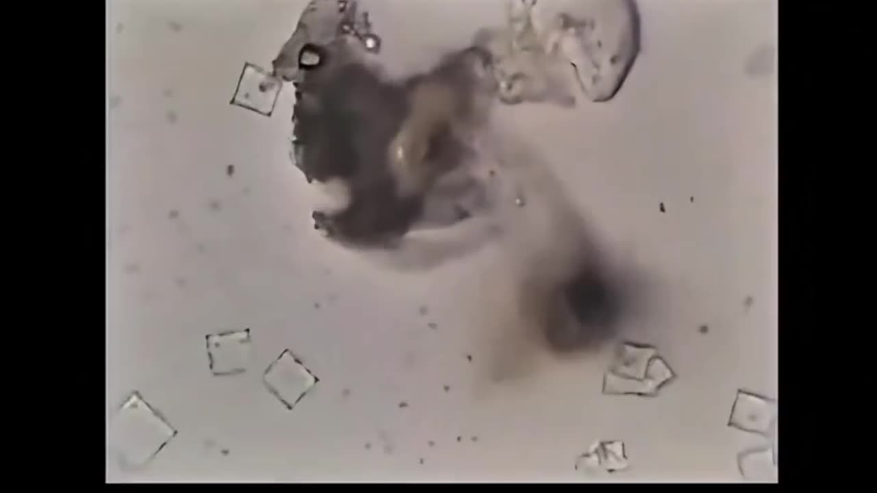 NICOTINE DESTROYS NANOTEC