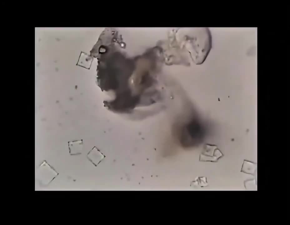 NICOTINE DESTROYS NANOTEC