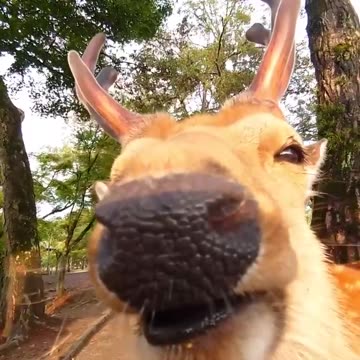 Very camera friendly 😊