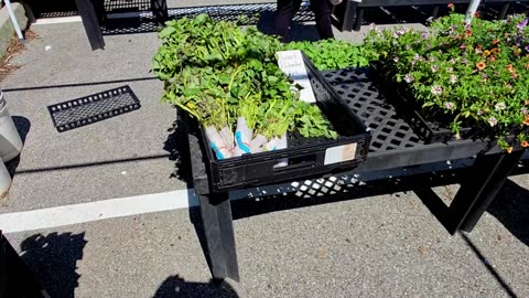 Saturday Farmers' Market at the South County Seasonal Farmers' Market! 5-17-25