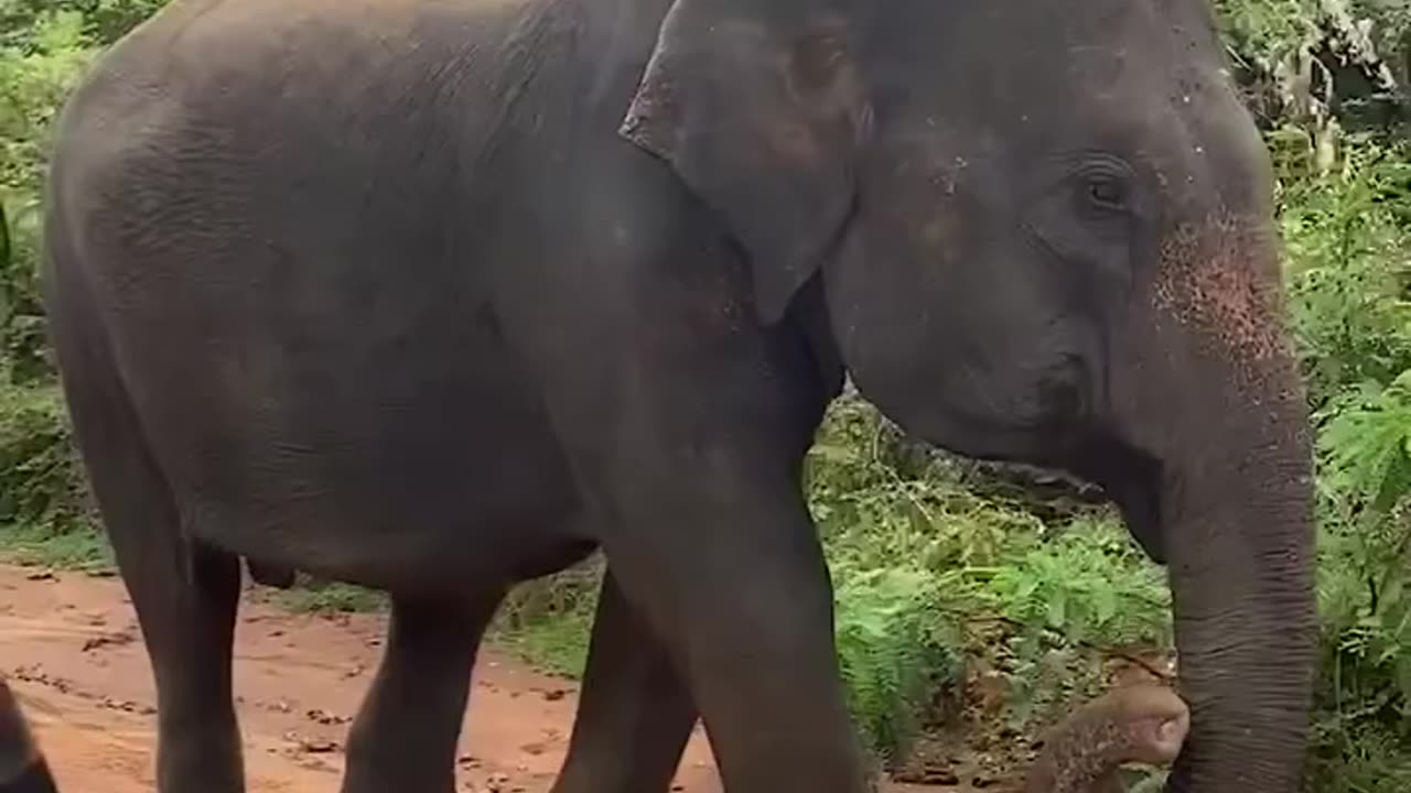 Grace in Motion!