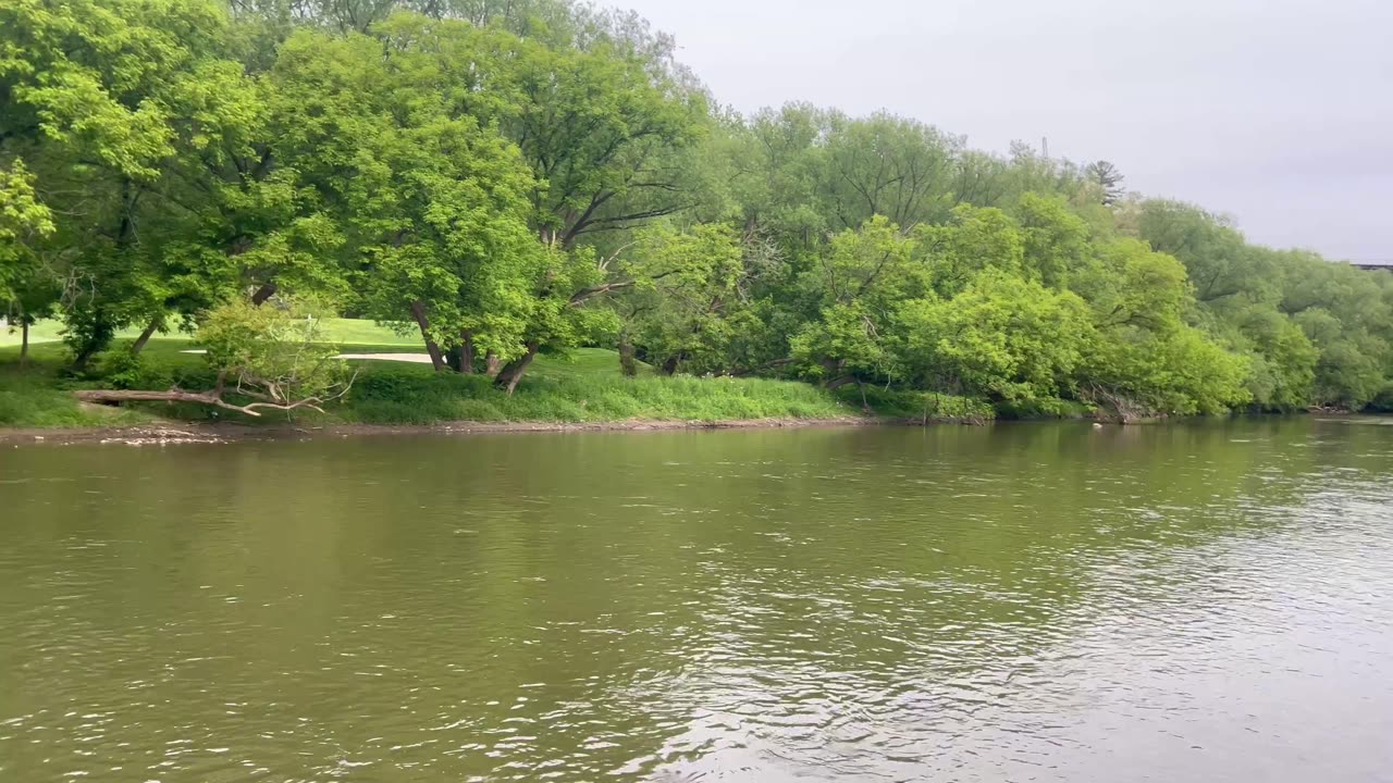 Beautiful day watching the Humber River flowing in Toronto