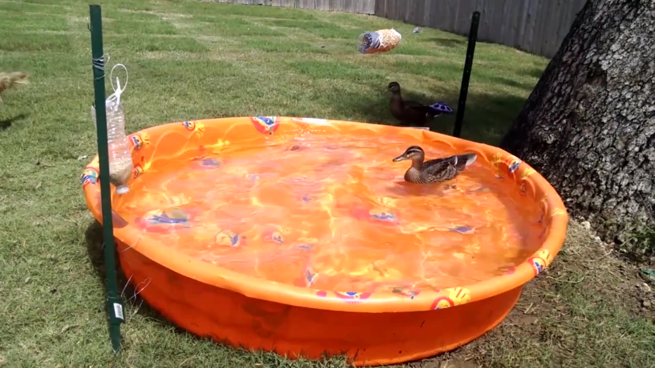 Sometimes, You Just Go With The FLOW! 🤣🌊Funny Water Fails | Fail Compilation | AFV