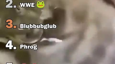 Ranking The Best Frog Moments