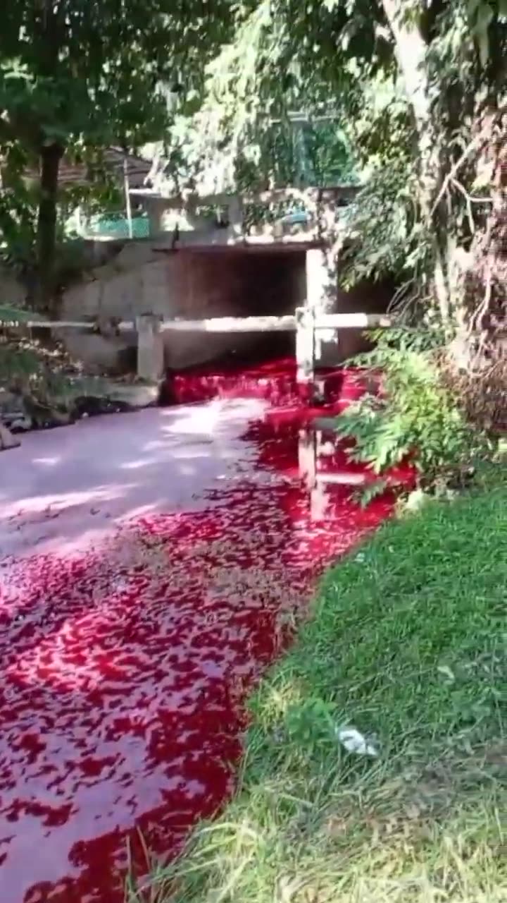 @LASTMESSAGES - 2025 IS STRANGE - OCTOBER (2)