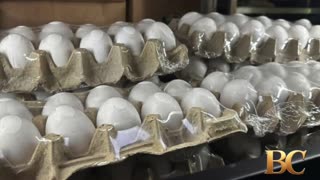 Egg prices decline for first time in months