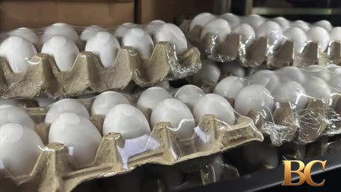 Egg prices decline for first time in months