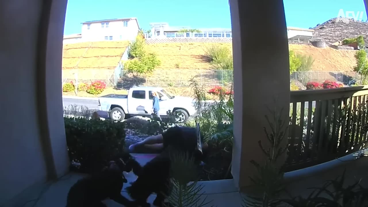Ep 01 | Funniest Home Videos
