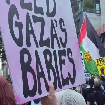 "STOP STARVING GAZA NOW" will be at the United Nations.