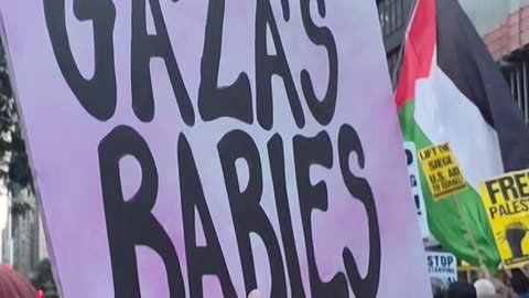"STOP STARVING GAZA NOW" will be at the United Nations.