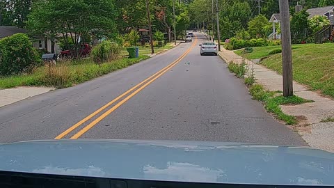 Deer Dashes Out in Front of SUV and Goes Flying