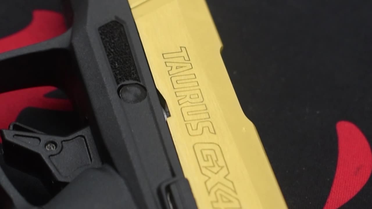 Taurus GX4 with Flair