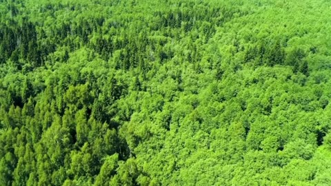 Indie Classical Evening Chill