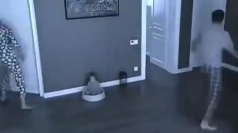 Baby Steals Dog’s Bed – Parents Freak Out!
