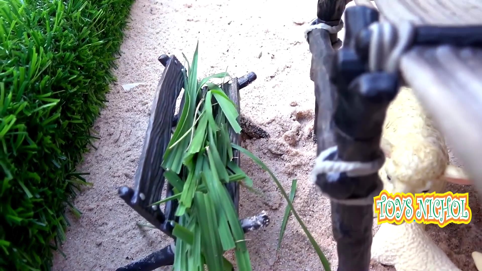Rooster Plays in the Sand While Looking for Food in the Sand