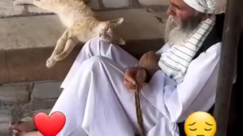 Emotional video of a Muslim with cat