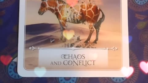 Oracle Card Reading 6/18/25