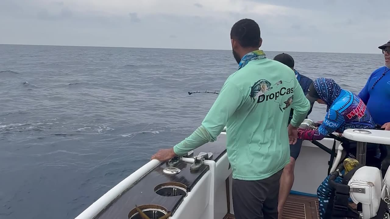 Close Call With a Blue Marlin Nearly Jumping in the Boat