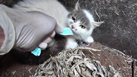 rescued paws curled peacefully on woven mat