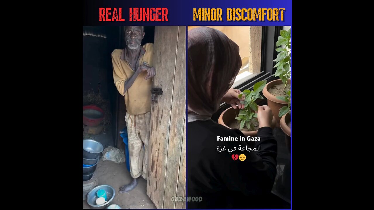 Perspective - Real vs Fake Famine and Starvation