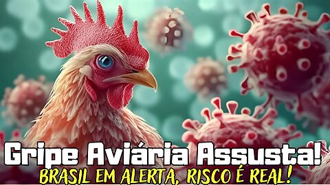 Veja o Que Está Acontecendo no BrasilGripe Aviária Foge do Controle RISCO HUMANO ASSUSTA O MUNDO!