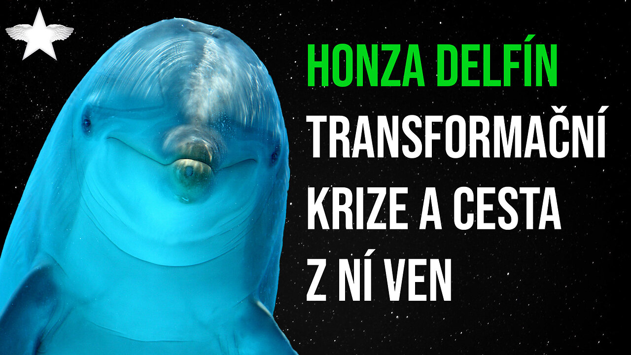Honza Delfín: Transformační krize a cesta z ní ven