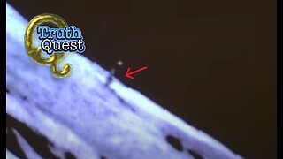 Truth Quest with Aaron Moriarity #685 "FULL DISCLOSURE"